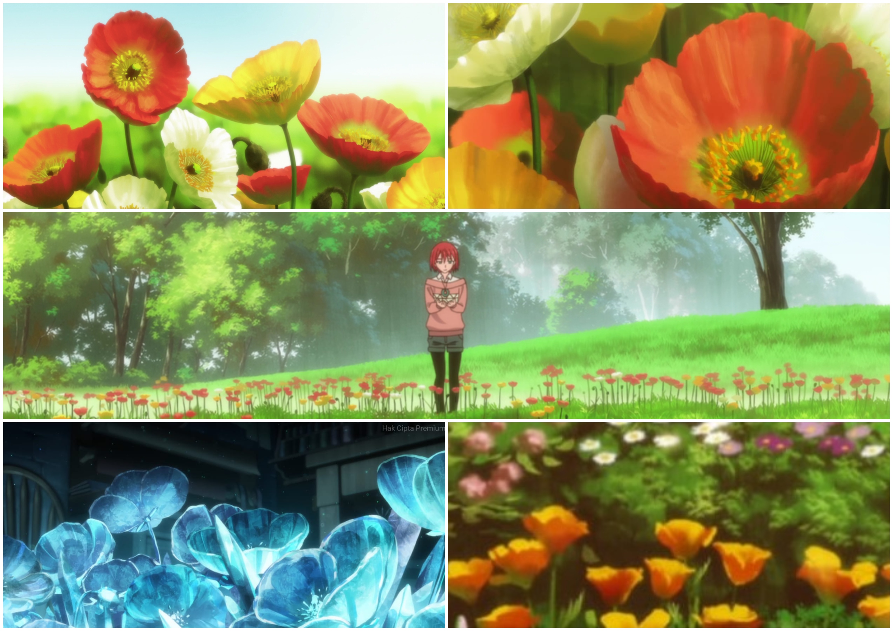 Serial anime Mahoutsukai no Yome juga kaya dengan hanakotoba.