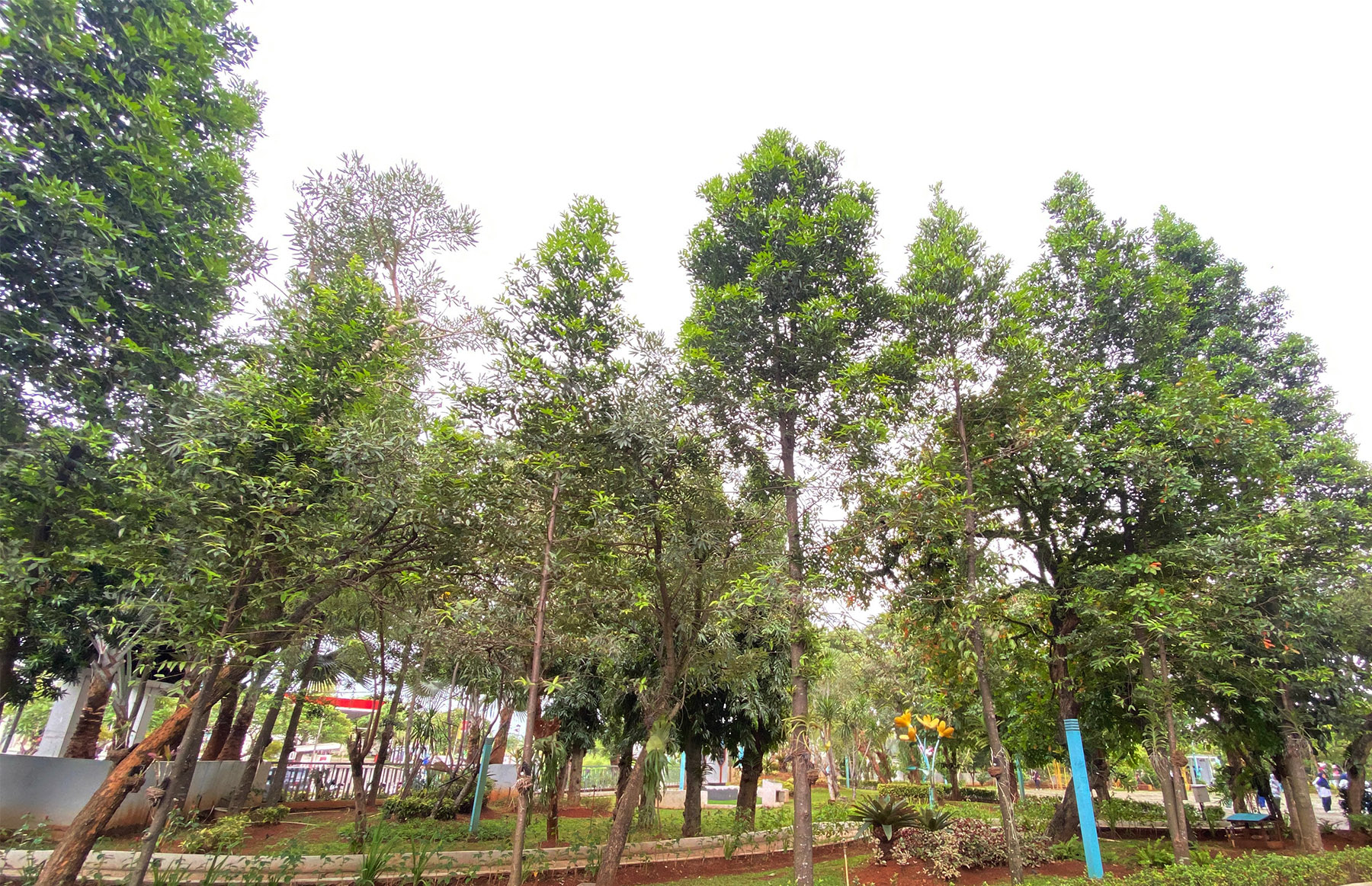 Ruang Terbuka Hijau (RTH) yang berada di kawasan Puspemkot Tangsel, Ciputat, Rabu (15/1).&nbsp;