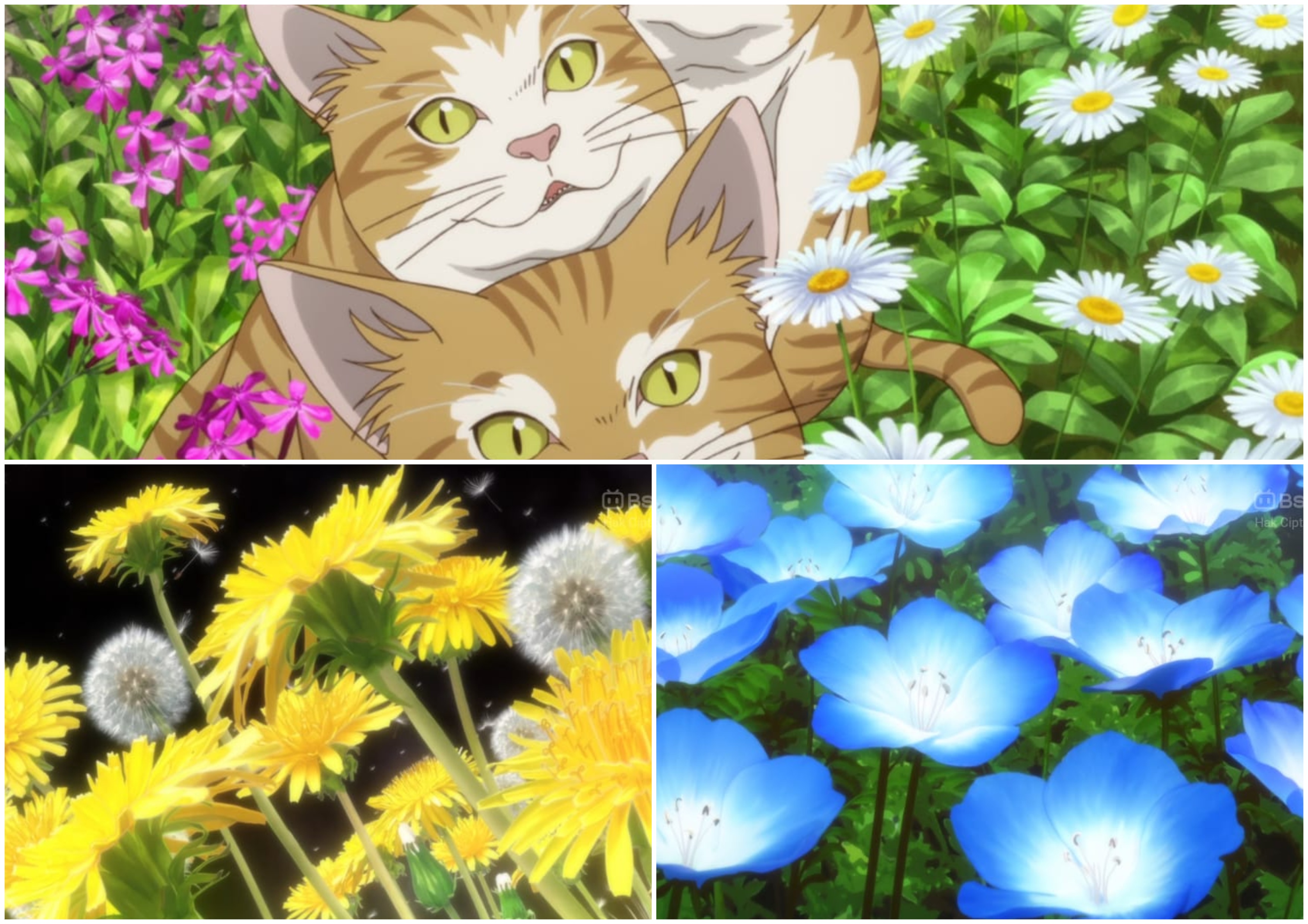 Serial anime Mahoutsukai no Yome juga kaya dengan hanakotoba. (Dok. IMDb).