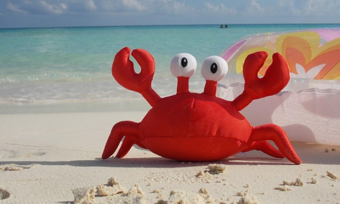 Ilustrasi Crab Mentality.(Pixabay/stevevaudry).
