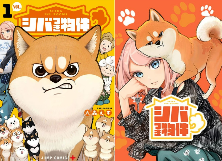 Dua versi sampul manga seri Shibatsuki Bukken