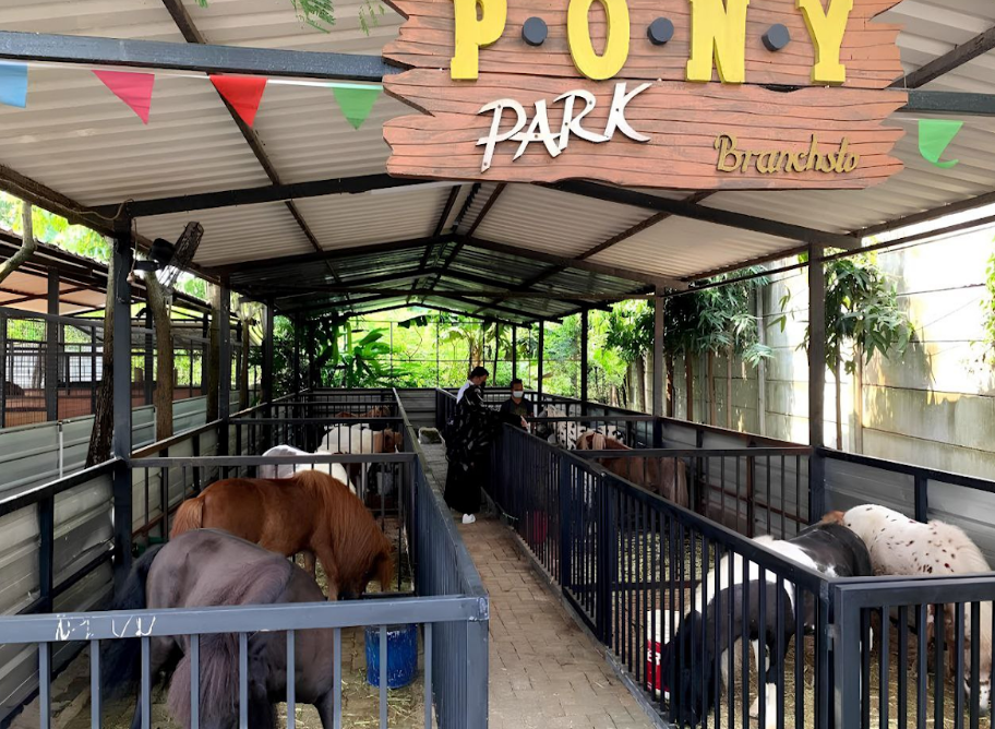 Branchsto Equestrian Park BSD