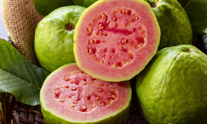 Jambu biji merah. (Dok. Health)