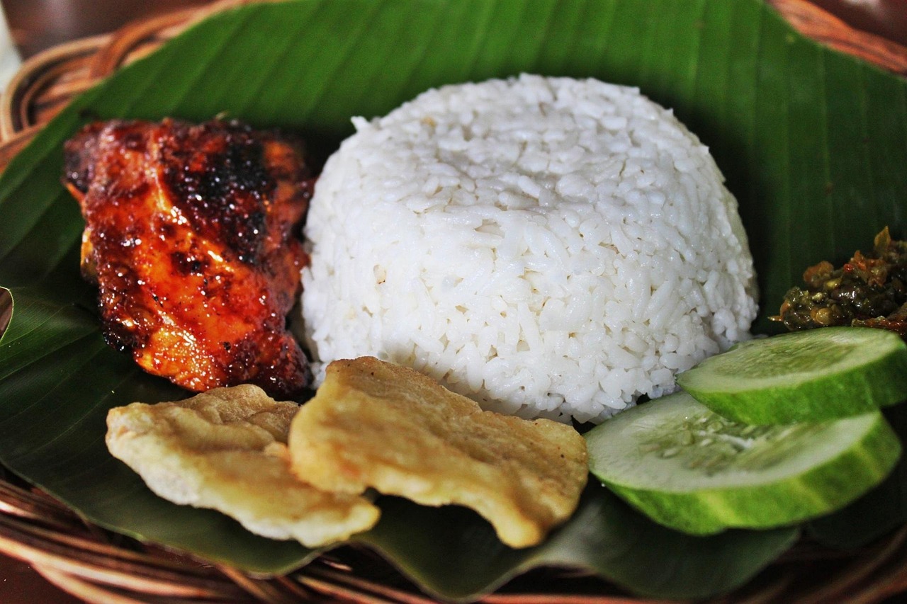 Ilustrasi ayam bakar. (Pixabay)