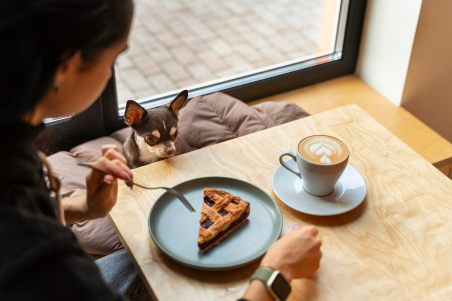 Ilustrasi pet cafe (Dok. Freepik)