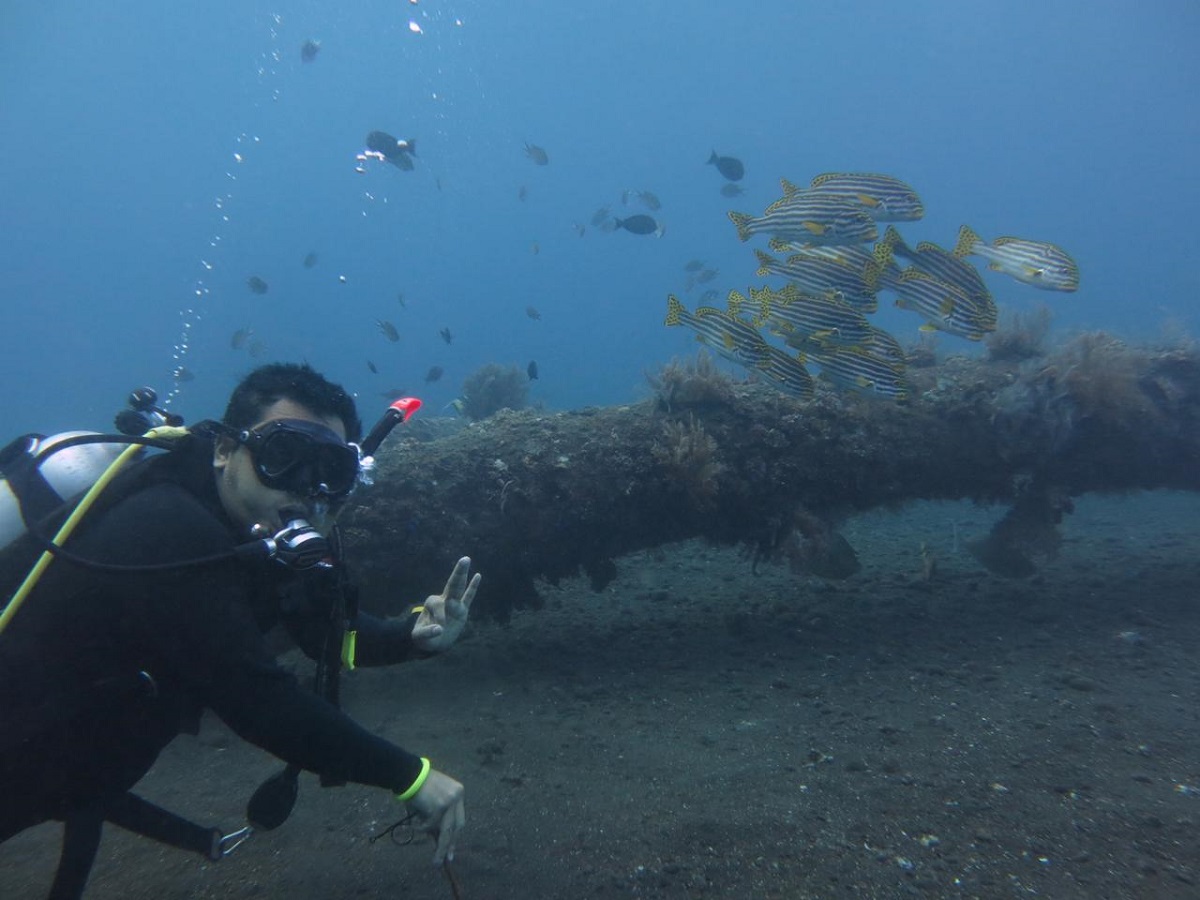 Taman Laut Indonesia melakukan trip diving ke Bali Island (Dok. tamanlautindonesia.com)