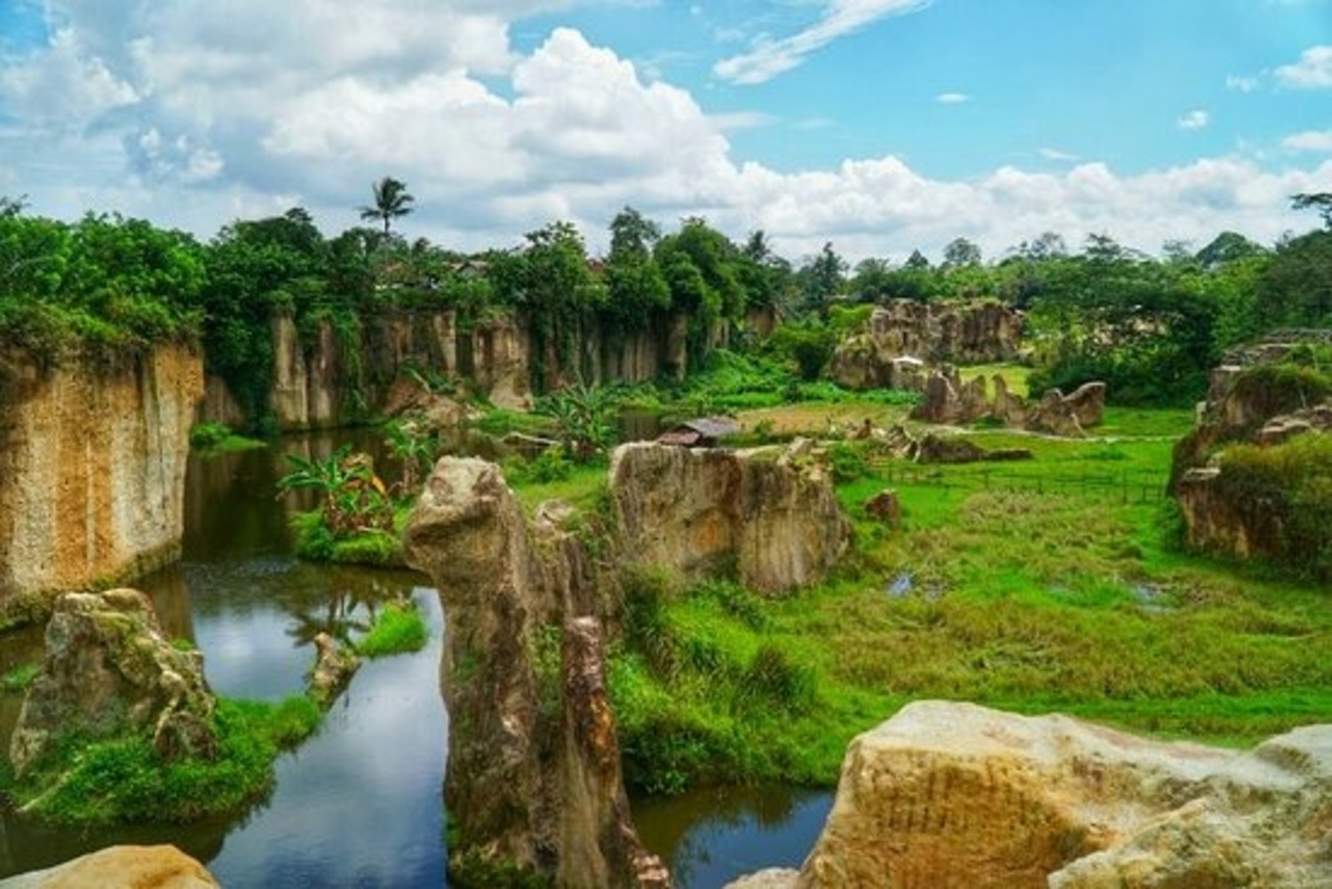 Mau Rileks Tidak Jauh dari Tangsel? Yuk, Kunjungi Tebing Koja untuk Melepas Penat!