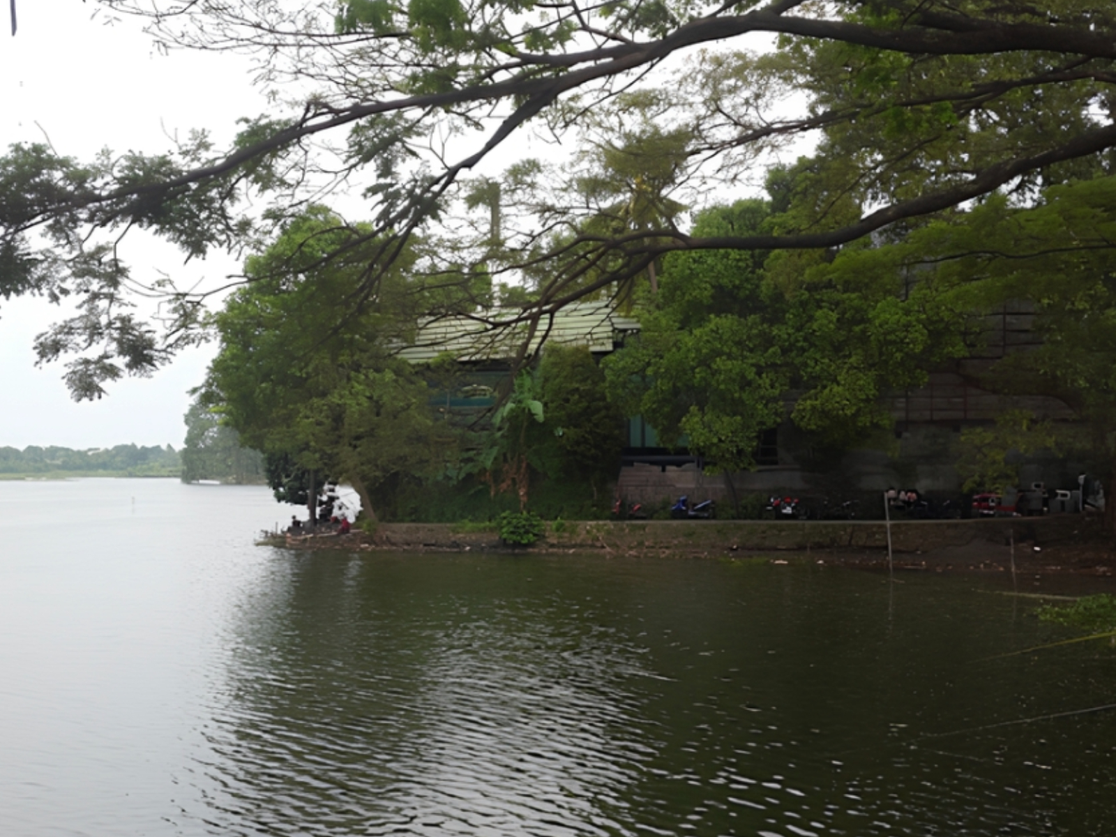 Danau Setu Sasak di Pamulang, Tangerang Selatan (Dok. Google Maps)