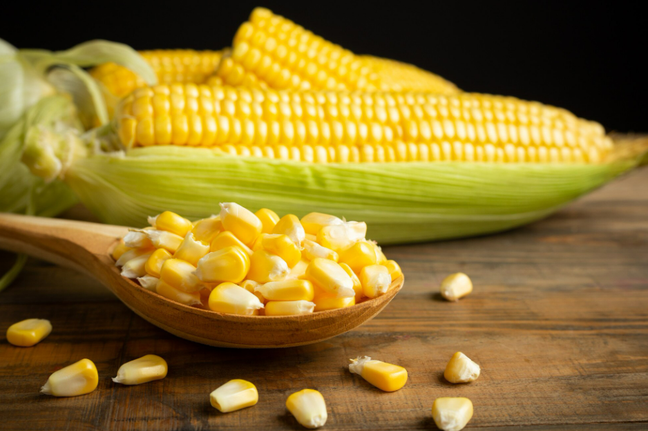 Ilustrasi jagung (Dok. Freepik)