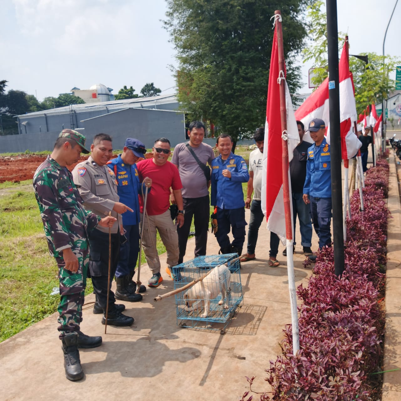 Anak Digigit Anjing Liar di Pondok Aren, Damkar Kota Tangsel Lakukan Sweeping