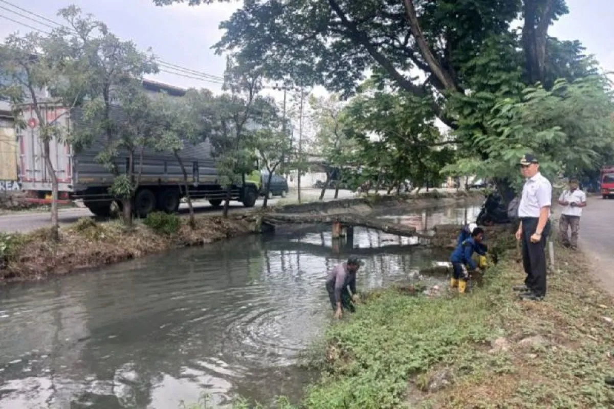 Pemkot Tangerang Antisipasi Banjir, Camat Benda Saipul Ulum Turun Tangan Nornalisasi Anak Sungai Cisadane