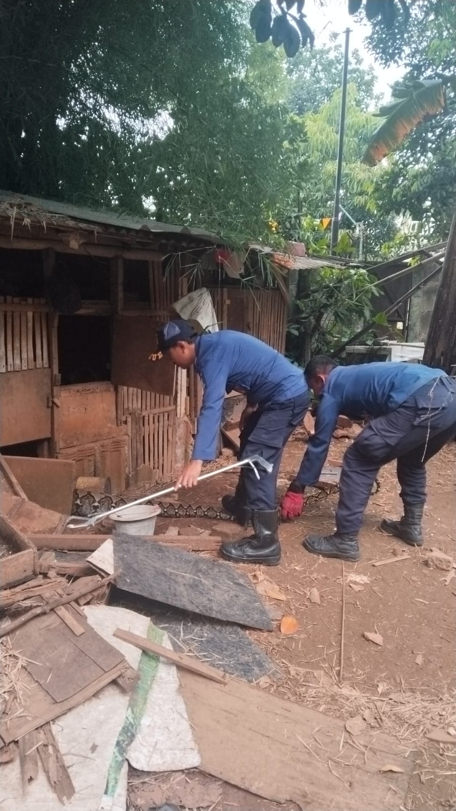 Evakuasi ular sanca di wilayah Rawa Buntu, Kecamatan Serpong. (Dok. Dokumentasi Dinas Pemadam Kebakaran dan Penyelamatan (Damkar) Kota Tangsel)
