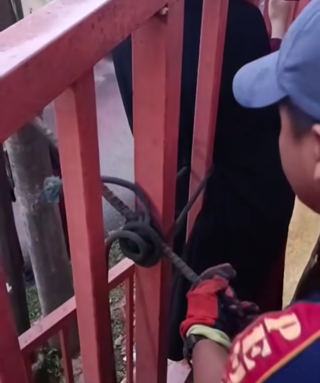 Proses penyelamatan warga di kawasan Tugu yang terjepit pagar dilakukan Damkar Depok.