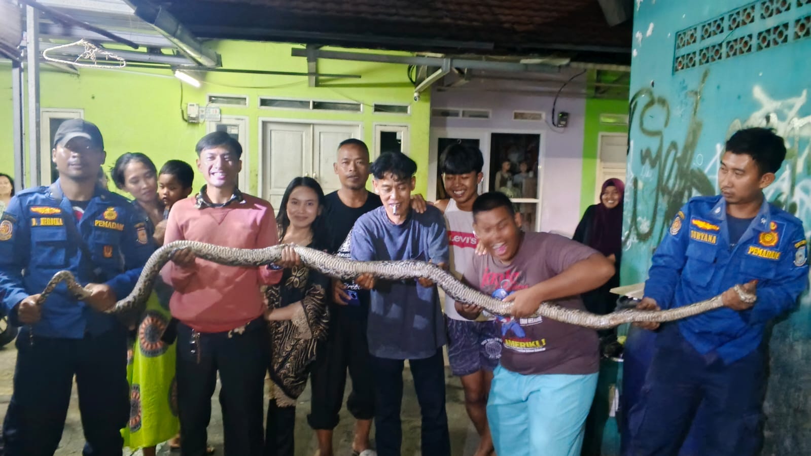Petugas Pemadam Kebakaran Kota Tangsel mengevakuasi ular dari loteng rumah warga di Perigi Lama.