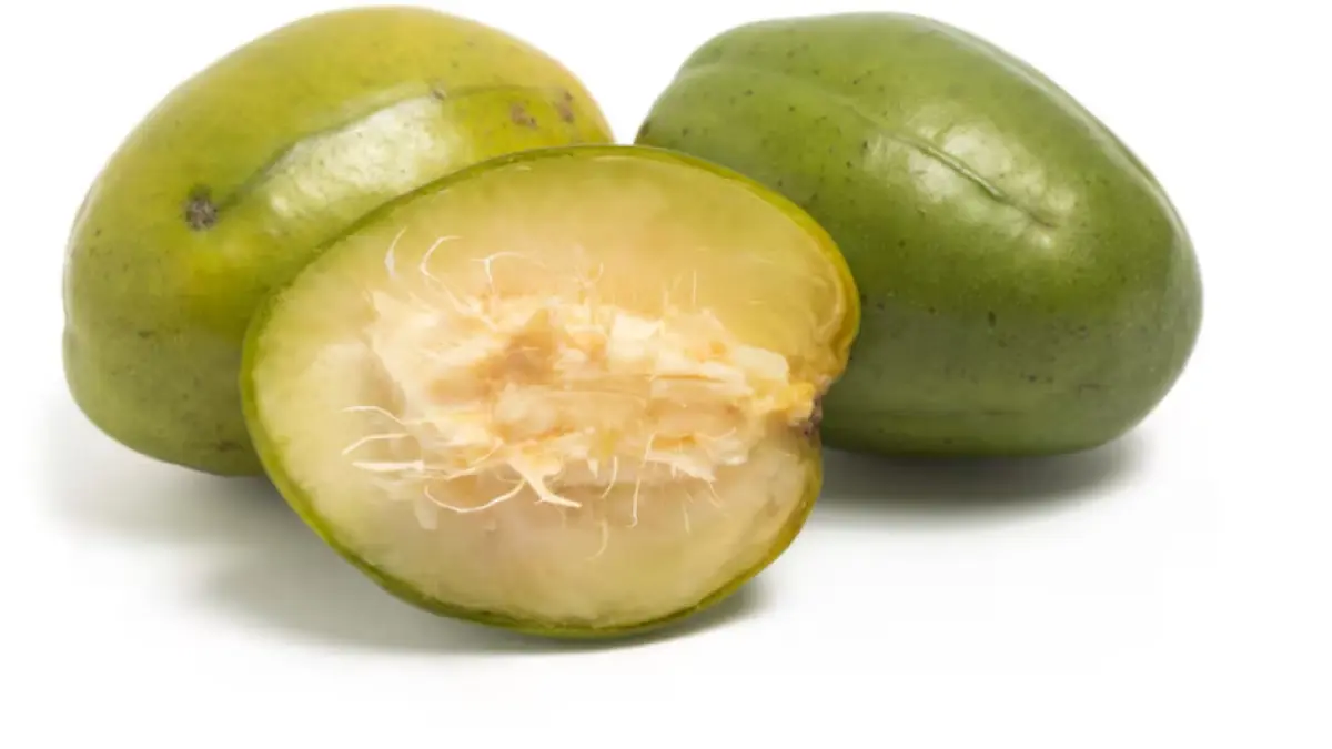 Ilustrasi buah kedondong (Dok. Freepik) 