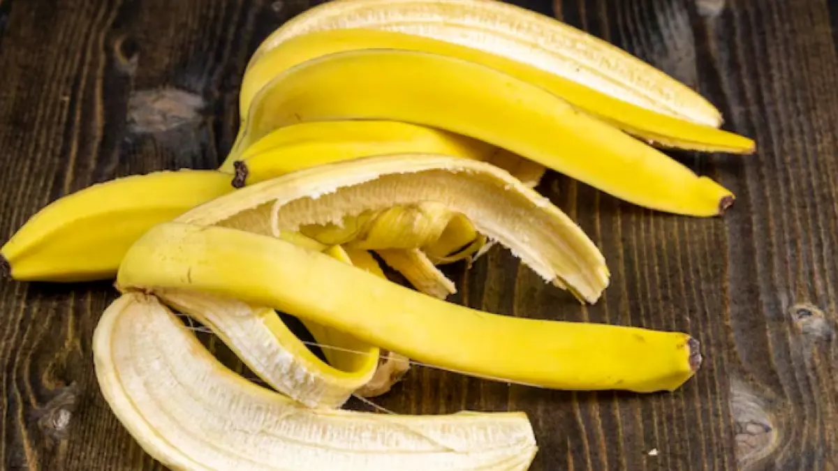 Ilustrasi kulit pisang (Freepik)