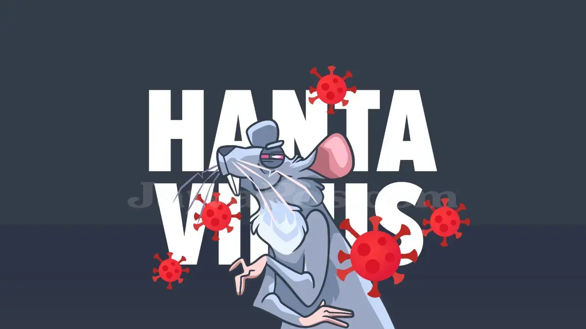 Ilustrasi hantavirus. (Dok. JawaPos.com)