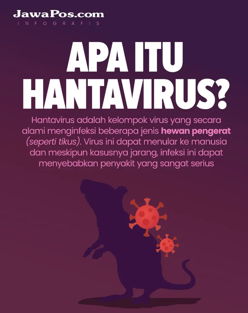 Ilustrasi hantavirus. (Dok. JawaPos.com)