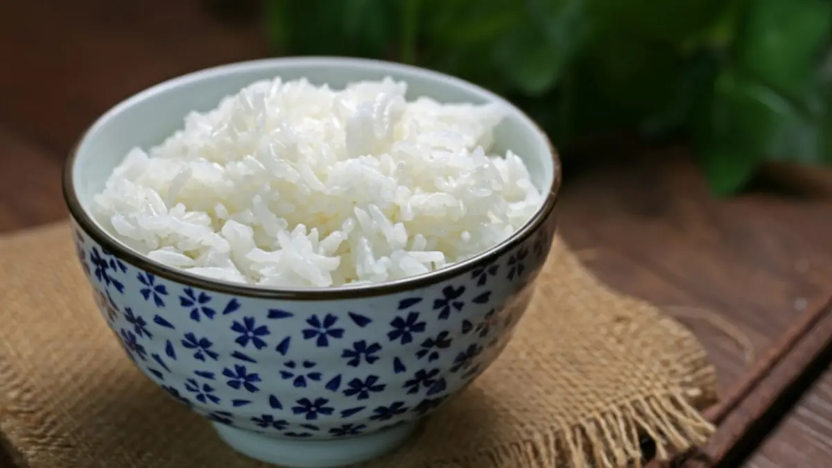 Ilustrasi nasi (Magnific)