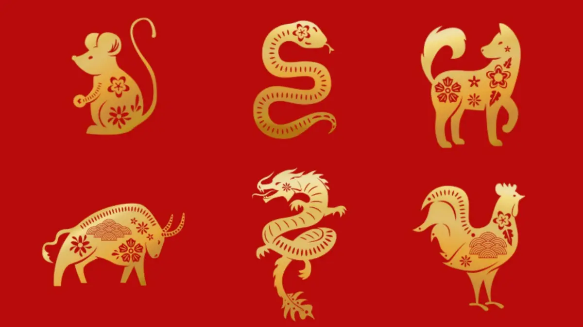 Ramalan Shio 5 Agustus 2026, Intip Keberuntungan Tikus, Ular, Anjing, Kerbau, Naga, dan Ayam