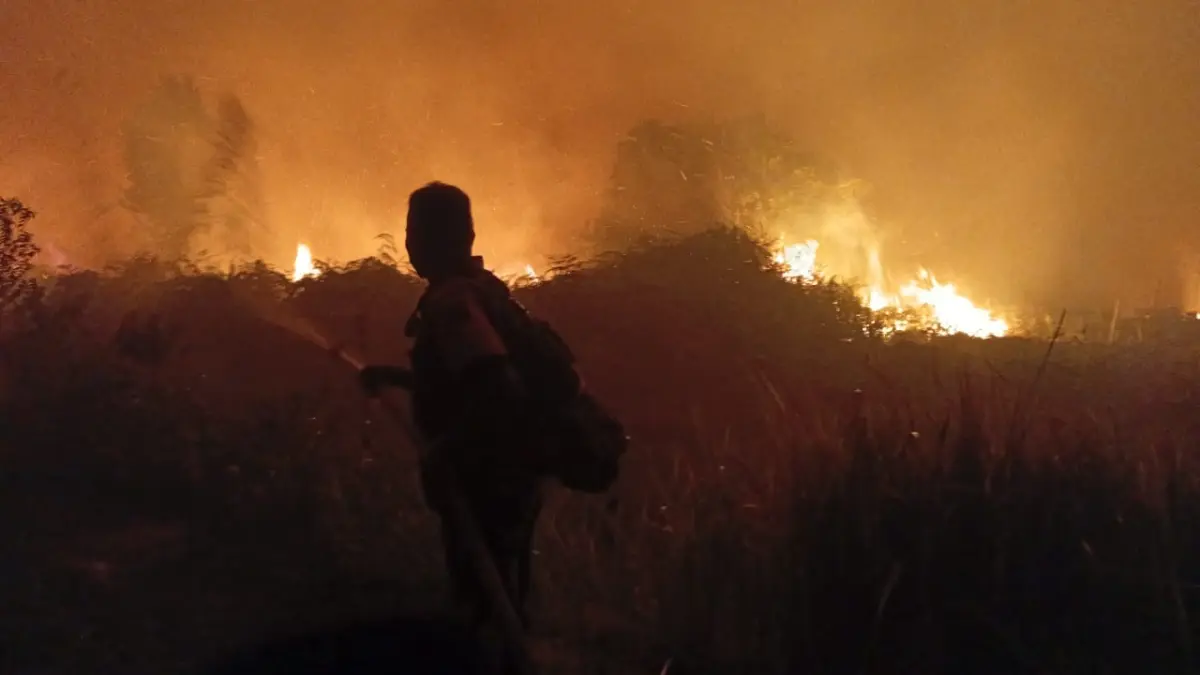Polri menyelidiki karhutla di Kalimantan dan mengamankan beberapa orang untuk didalami. Satu tersangka di Berau diduga membakar 12 hektare lahan. (Dok. TNI)