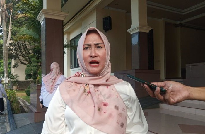 Kepala Dinkes Cirebon Eni Suhaeni. (Fathnur Rohman/Antara)