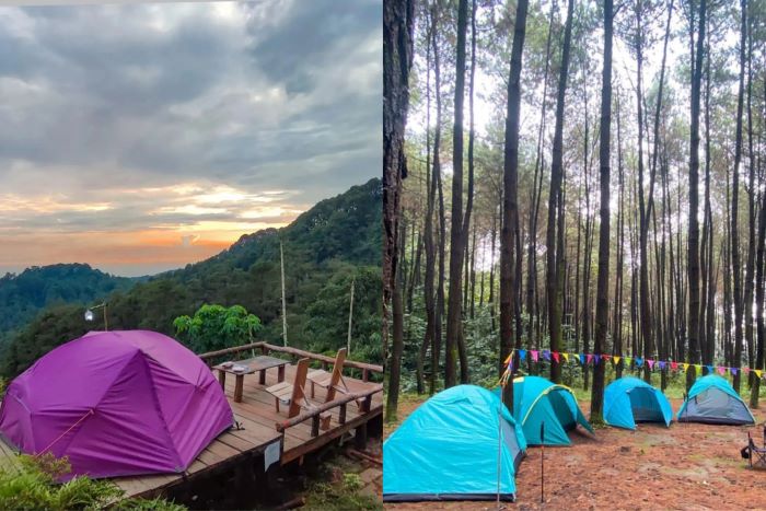 Penginapan nuansa alam. Hutan pinus batu nyongclo. (tangkapan gambar Instagram @ wisatahutanpinus_batu_nyongclo)