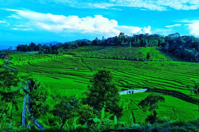 Pemandangan indah juga udara sejuk Ciboer Pas Majalengka. (Instagram @villaciboerpass)