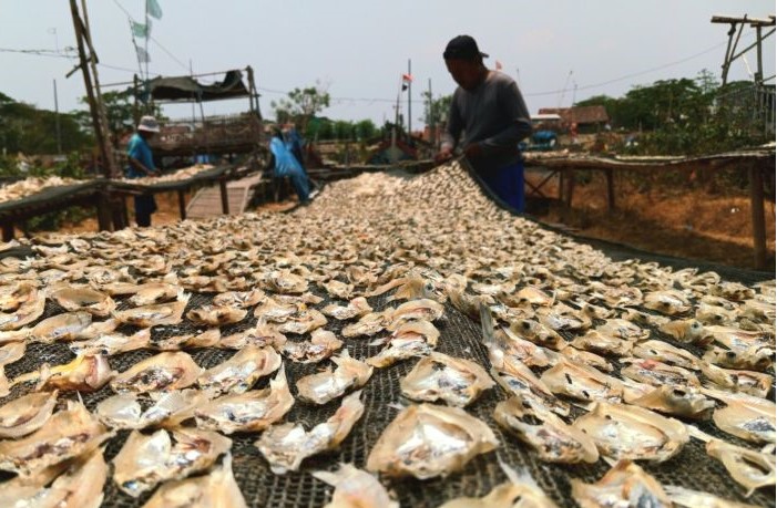 Pekerja menjemur ikan asin sebagai produk olahan khas. (Fathnur Rohman/Antara)
