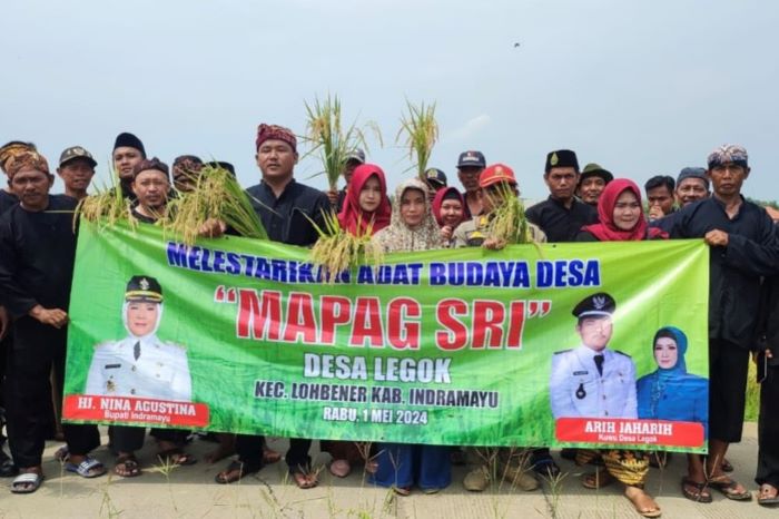Tradisi Mapag Sri. (Diskominfo Indramayu)