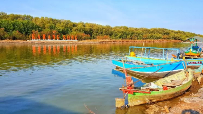 Ekowisata Hutan Mangrove Karangsong. (kedokanbunderwetan.digitaldesa.id)
