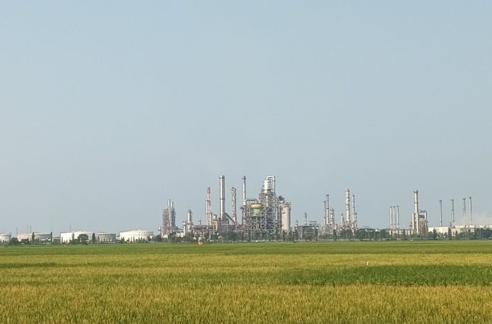 Kondisi lahan pertanian sawah di Kabupaten Indramayu, Jawa Barat. (Fathnur Rohman/Antara)