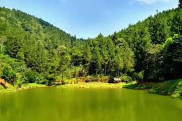 Situ Wulukut cocok untuk piknik. (traveloka.com)