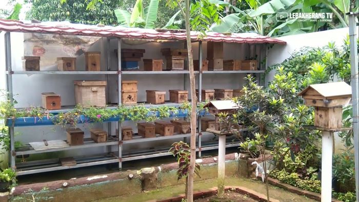Wisata Edukasi Taman Lebah Madu di Desa Bojong, Kuningan. (youtube.com/LEBAKHERANG)
