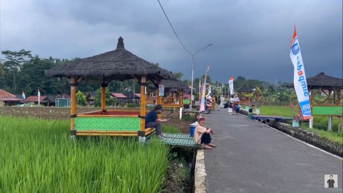 Destinasi Wisata Sawah Lope di Desa Cikaso, Kuningan. (youtube.com/Danias Susanto)