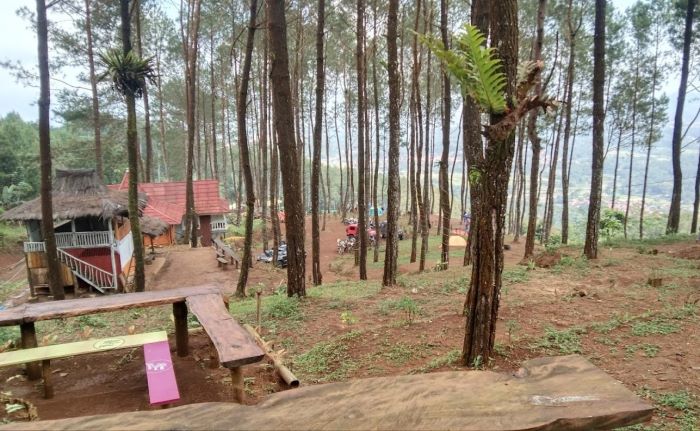 Pesona Bukit Bagarurung Kuningan. (sapabentala.com)