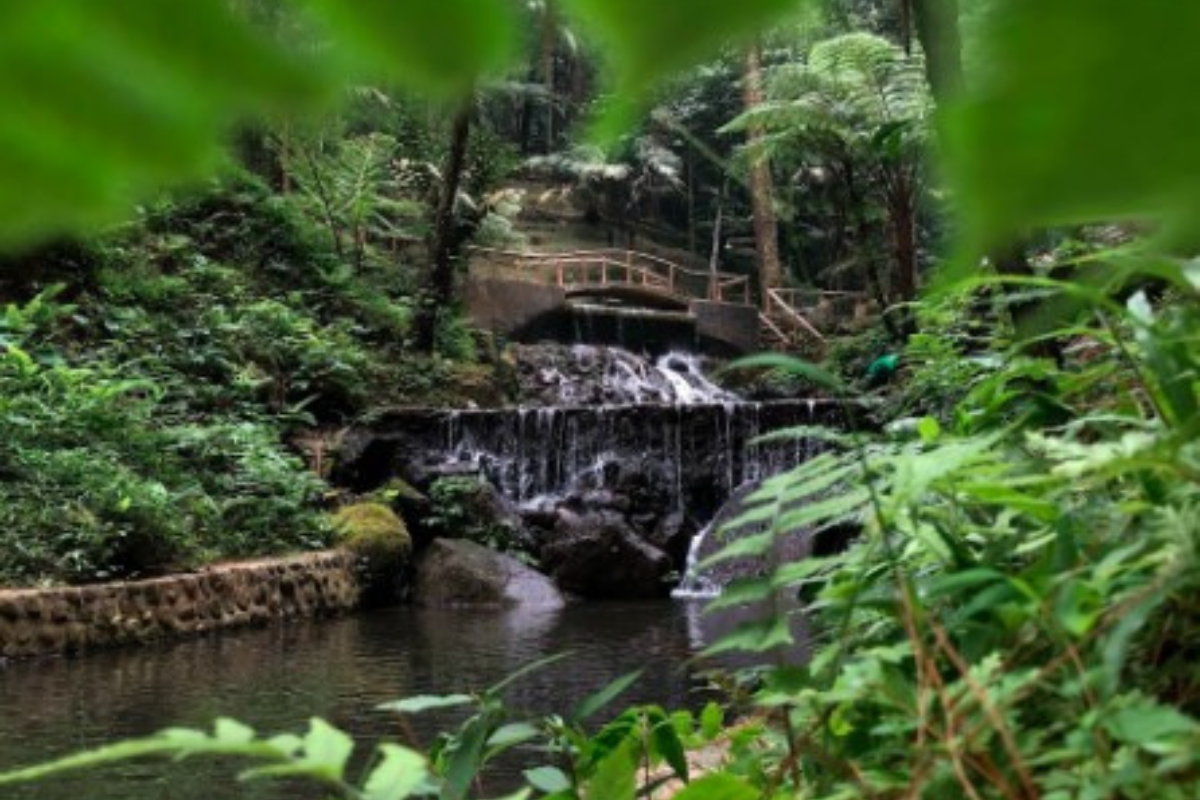 Curug Cipeuteuy, Majalengka. (Tangkap layar Ulasan Google Maps/ Nurul Arohmat)