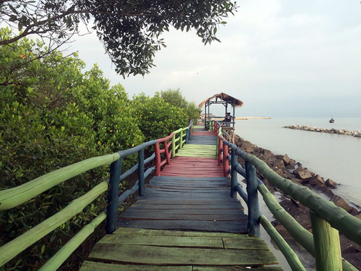 Jembatan ekowisata Mangrove Pantai Rembat. (salsawisata.com)