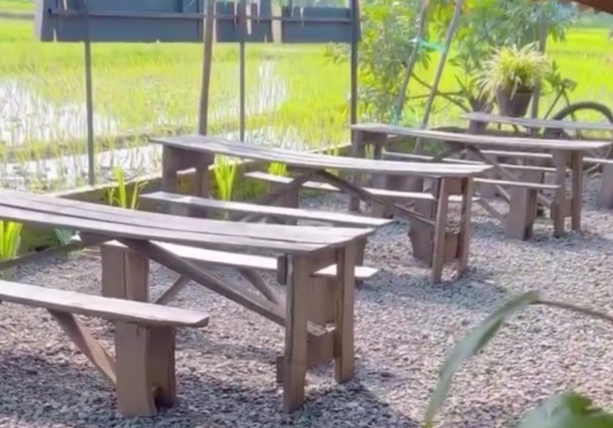 Suasana Warung Kopi dengan Pemandangan Sawah, Warung Kopi Manis. (Tangkapan Layar Akun Instagram @Warungkopimaniscirebon)