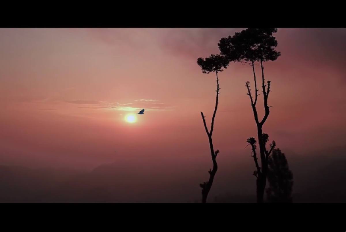 Pesona langit di Taman Nasional Gunung Ciremai. (Tangkapan Layar Akun Youtube Ayo Ke Taman Nasional)
