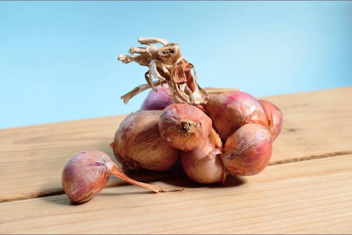 Ilustrasi bawang merah. (pexels)