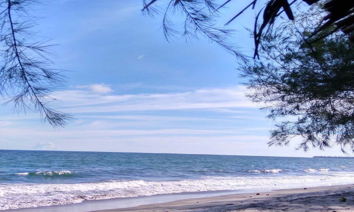 Pantai Cemara Indah di Indramayu