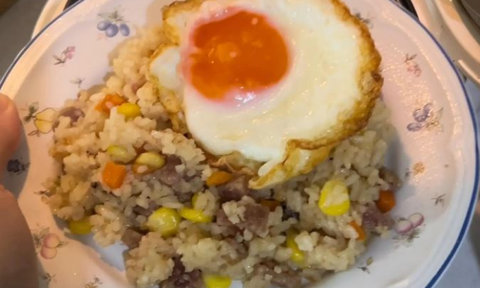 Ilustrasi nasi goreng