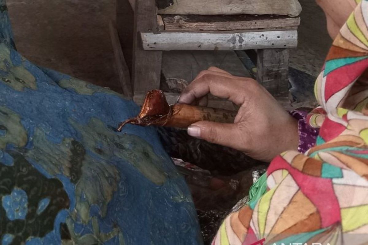 Batik dengan pewarna alami di salah satu sentra produksi batik Ciwaringin, Cirebon. (Fathnur Rohman/Antara)