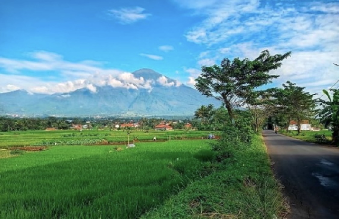 Pesona Alam Sawah Lope Cikaso