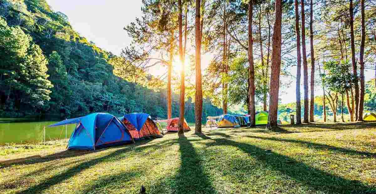 Ilustrasi spot camping