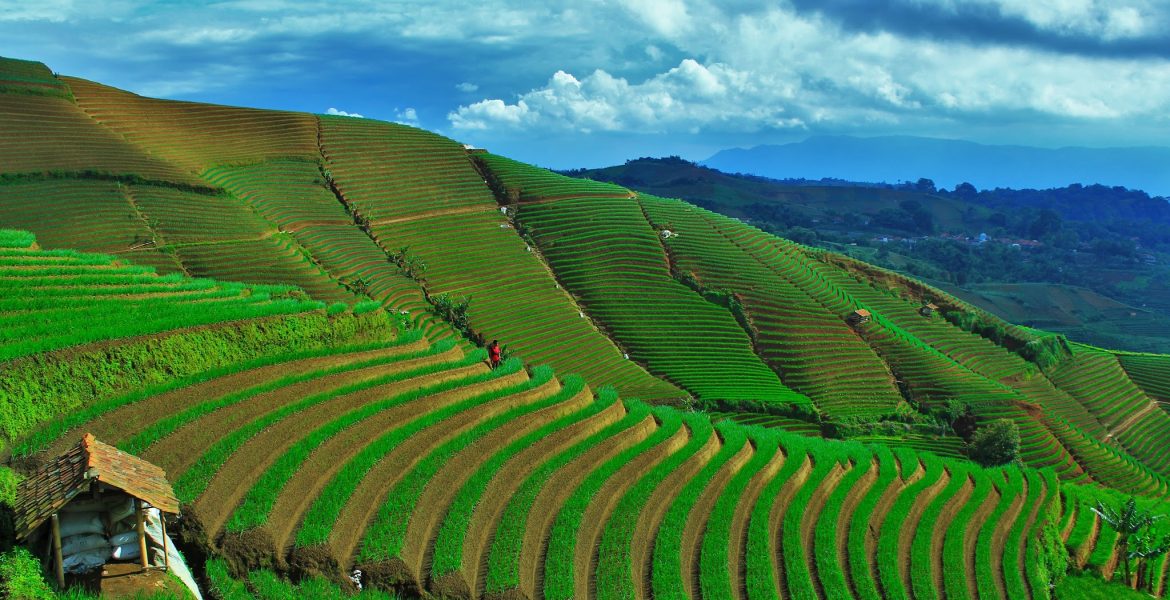 Terasering Panyaweuyan