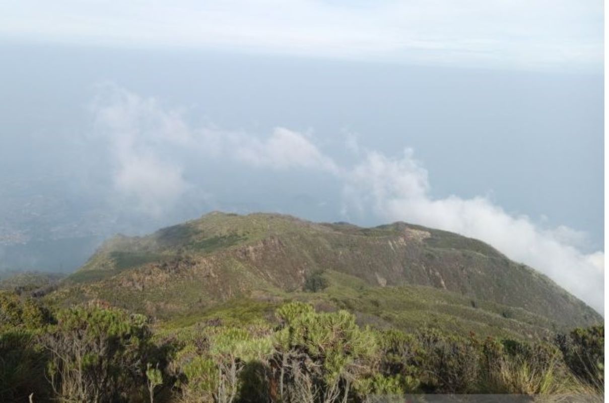 Jalur pendakian Gunung Ciremai via Trisakti Sadarehe di Majalengka. (Fathnur Rohman/Antara)