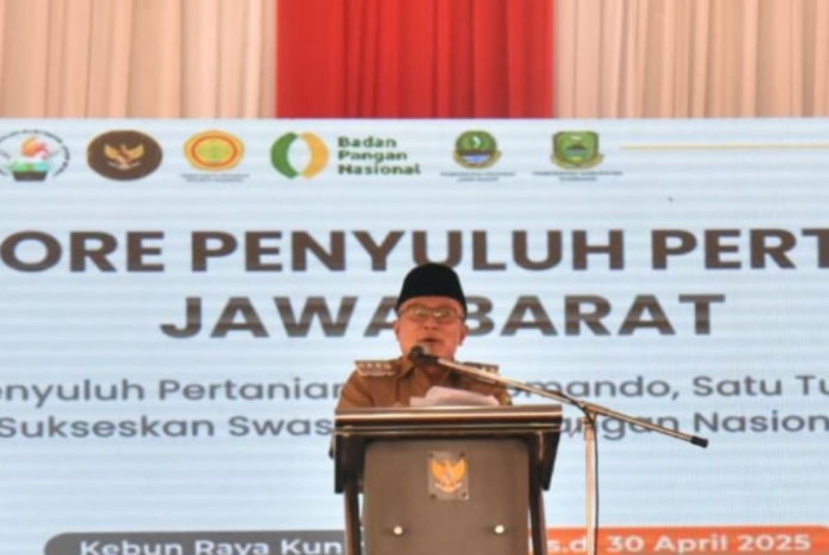 Bupati Kuningan Dian Rachmat Yanuar. (Fathnur Rohman/Antara)