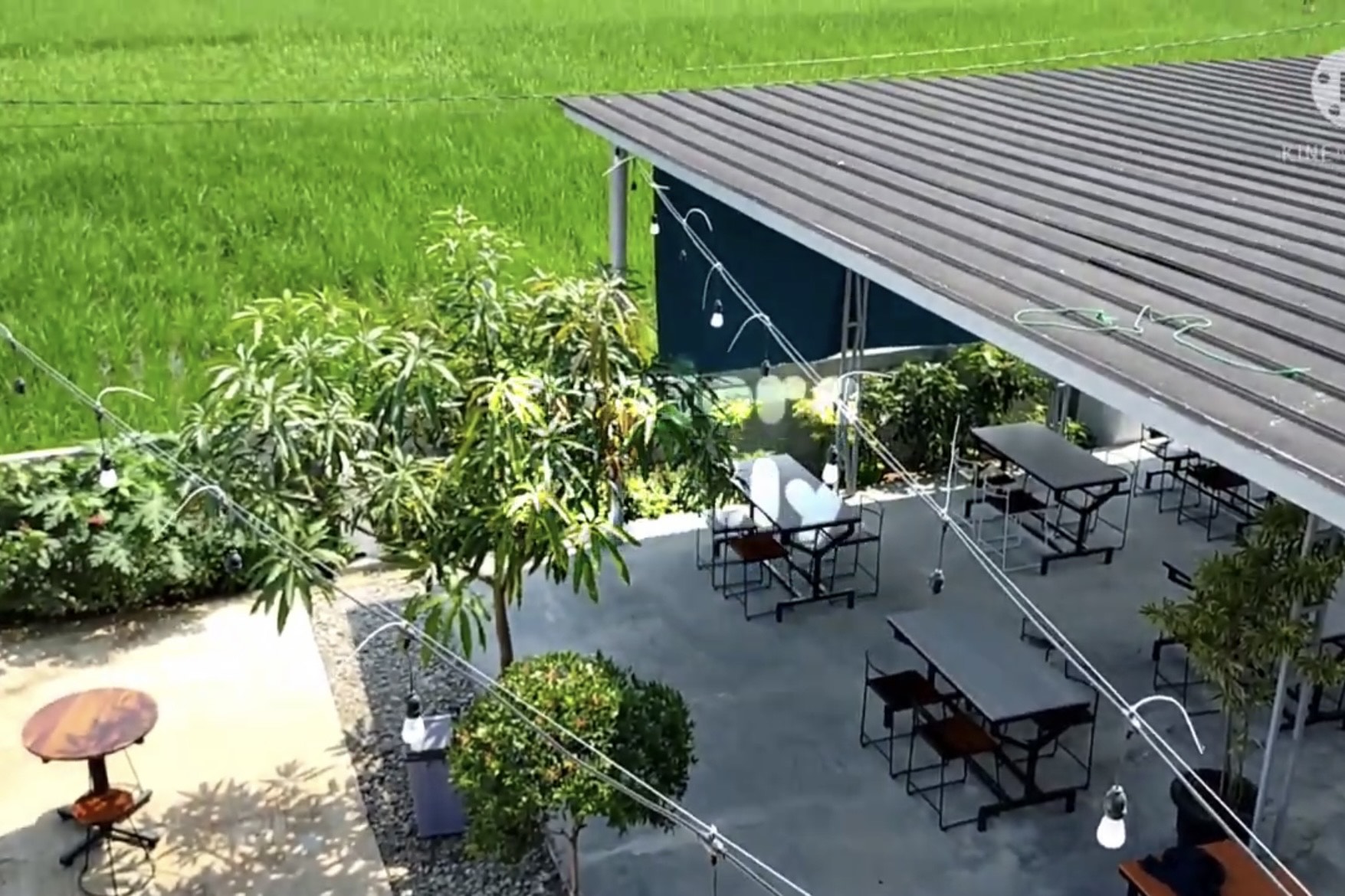 Ilustrasi kafe di pinggir sawah. (freepik)